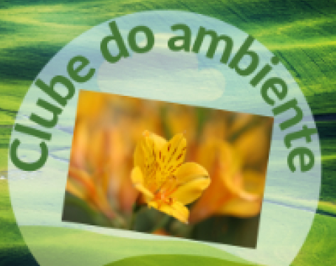 Site do Clube do Ambiente/Eco-Escolas